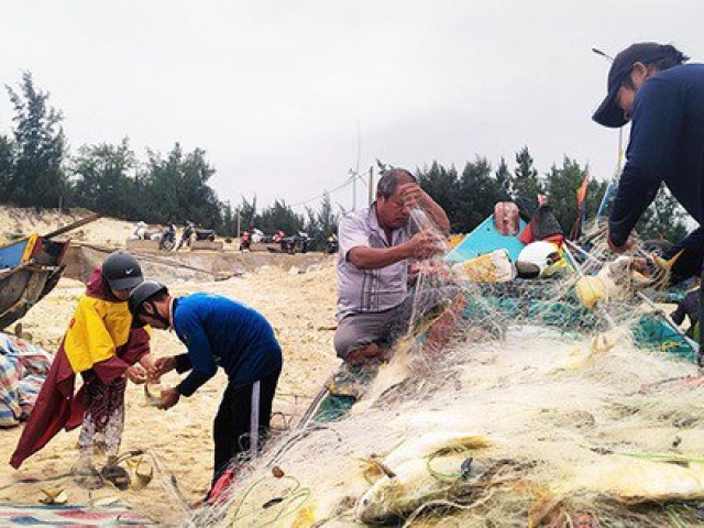 Trung Dam Luong Ca Chim Vang Ngu Dan Quang Binh